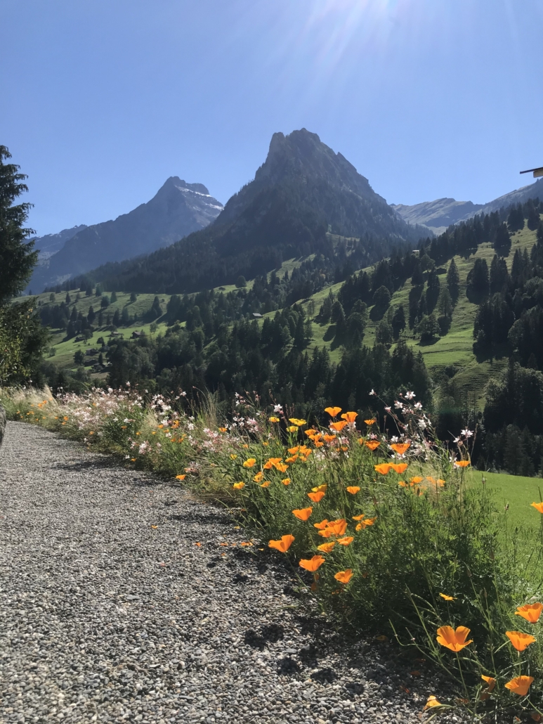 Atem-Retreat_Kiental_Garten